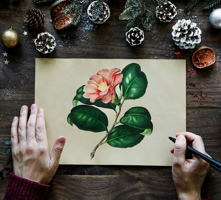 person painting flower, desktop, aerial, aerial view, background, card, celebrate, celebration, christmas, decorate