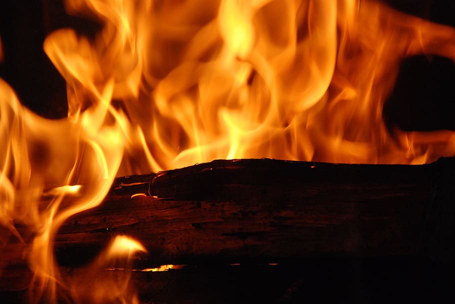 fire, flames, wood, inflamed, logs, chocolate yule log, burning, fire - natural phenomenon, flame, heat - temperature