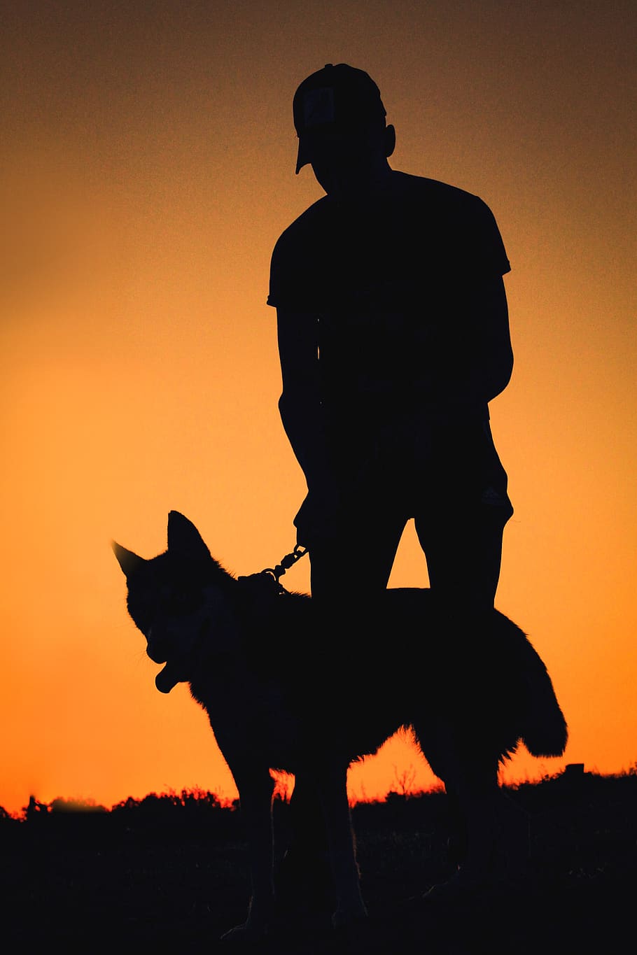 silueta, perro, hombre al atardecer con su perro, un hombre cuidando a su perro, un hombre tirando de su perro, crepúsculo, hombre, color naranja, sombra, puesta de sol