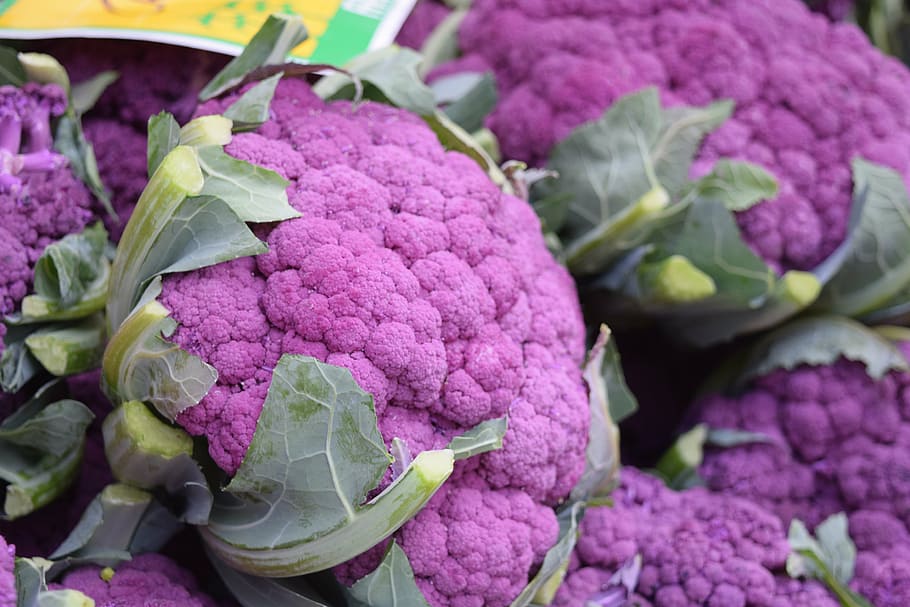 fotografi kembang kol ungu, sayuran, kembang kol, ungu, makanan dan minuman, makanan sehat, kesegaran, makanan, kesejahteraan, pasar