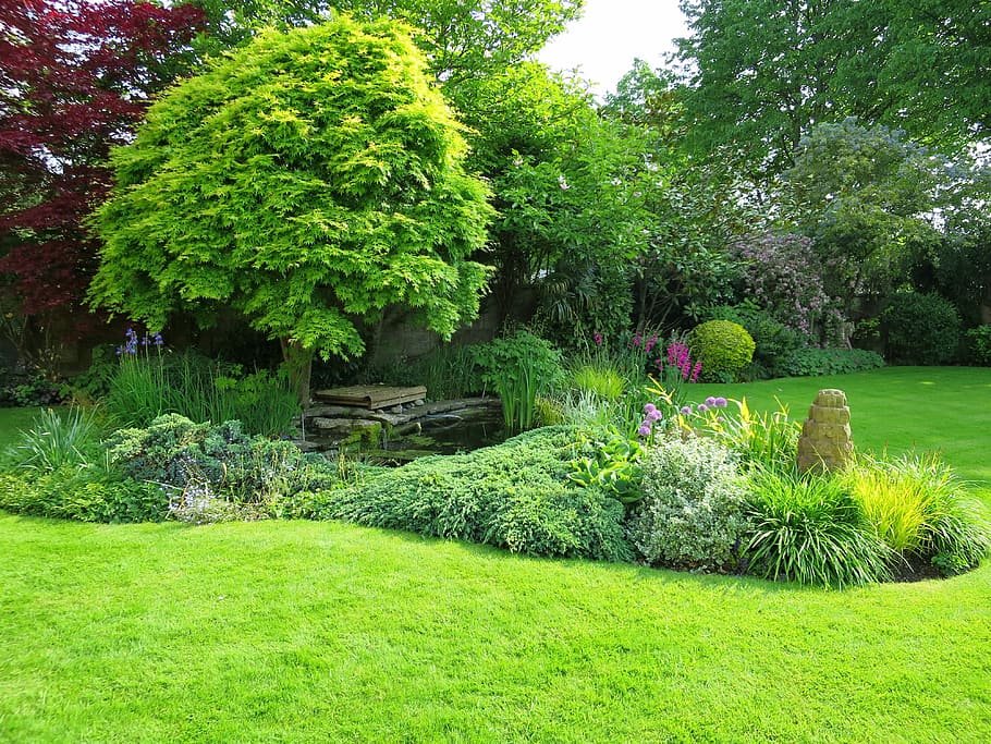 Jardín inglés, baño, Inglaterra, baño en Inglaterra, jardín del hotel, verde, planta, hierba, color verde, naturaleza