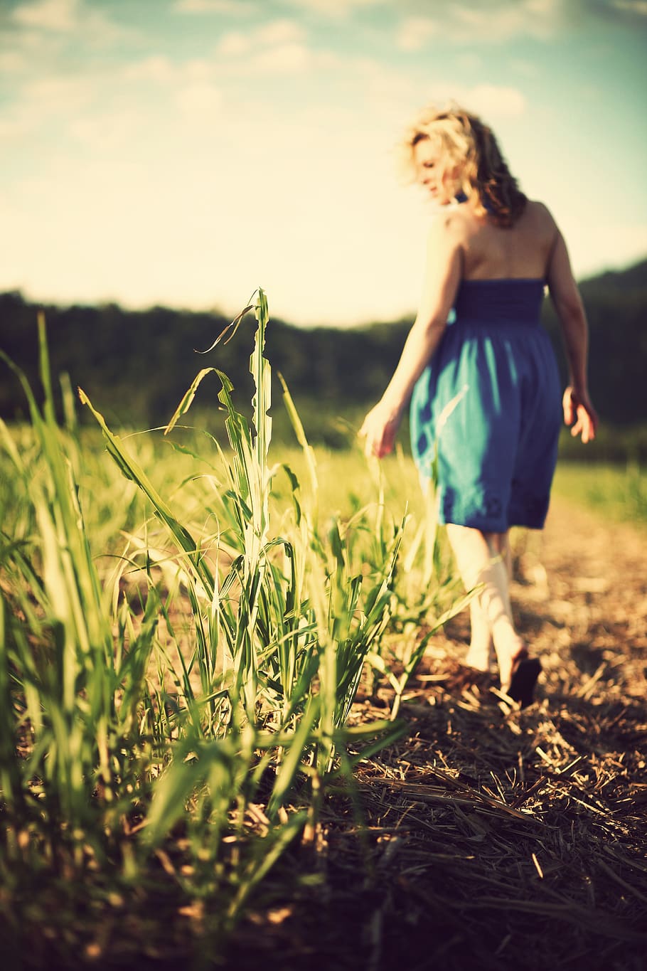 girl, woman, field, grass, nature, sunshine, sunny, summer, dress, fashion