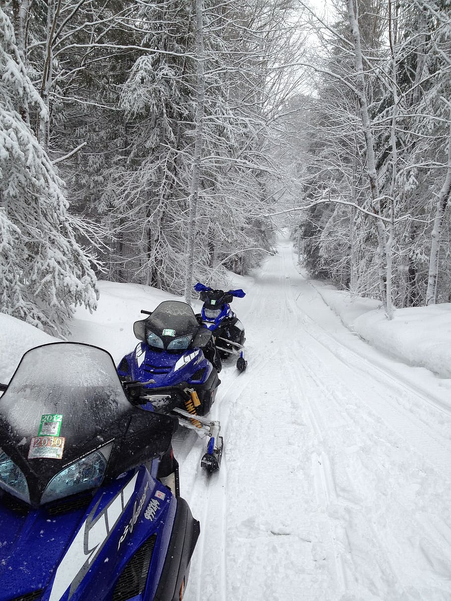 yamaha, snowmobiles, sleds, snowmobile, winter, nature, snow, trail, blue, ...