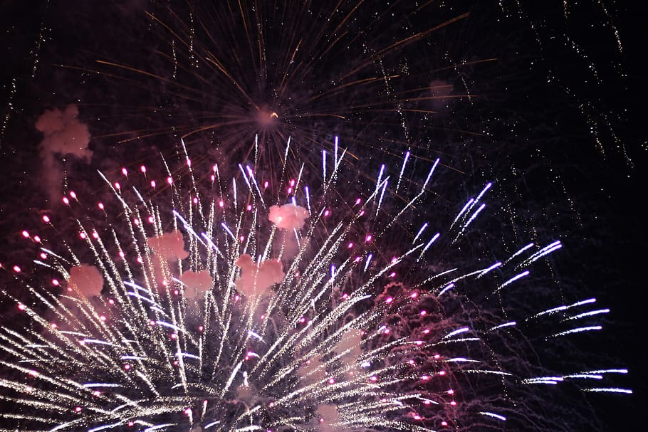 new year, firework, year, fireworks, party, celebration, 2020, light, bright, festival