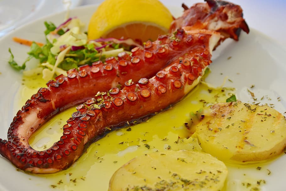 octopus tentacle, potato, white, ceramic, plate, fish, squid, octopus, fish market, kitchen