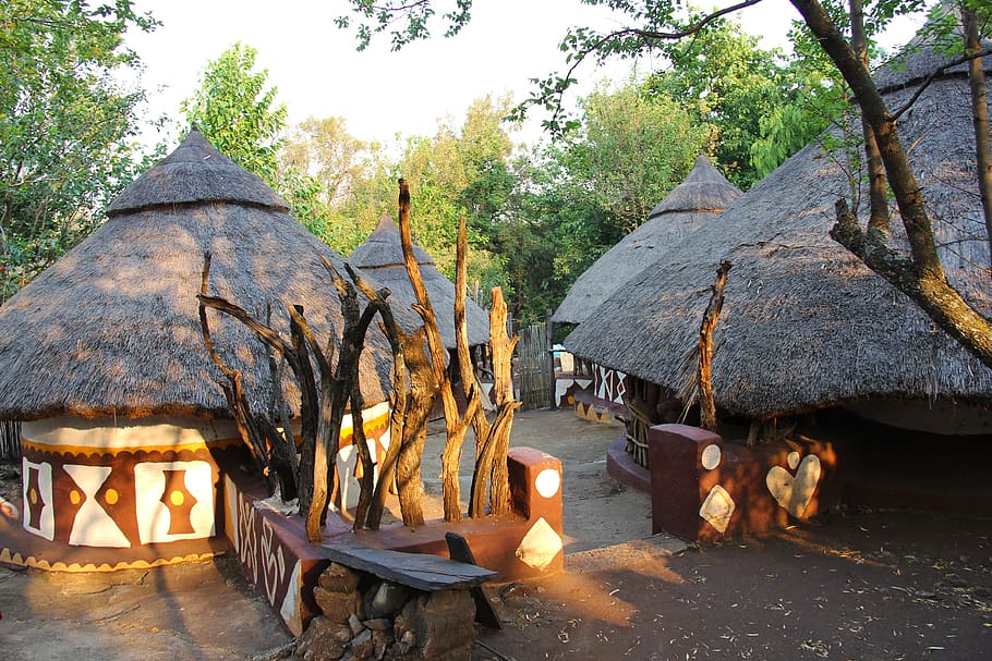 interesting, village, cultural, african, lesedi cultural village, experience, life, johannesburg, south africa, tree