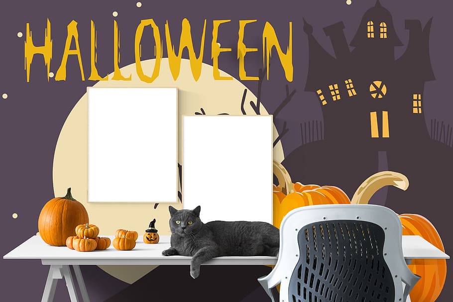 poster, mockup, desk, interior, halloween, workspace, decoration, wall, domestic, domestic animals