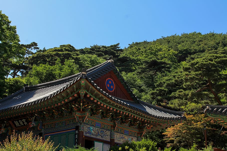 Castillo, coreano, tradicional, pared, antiguo, arquitectura, corea, sur, edificio, cultura