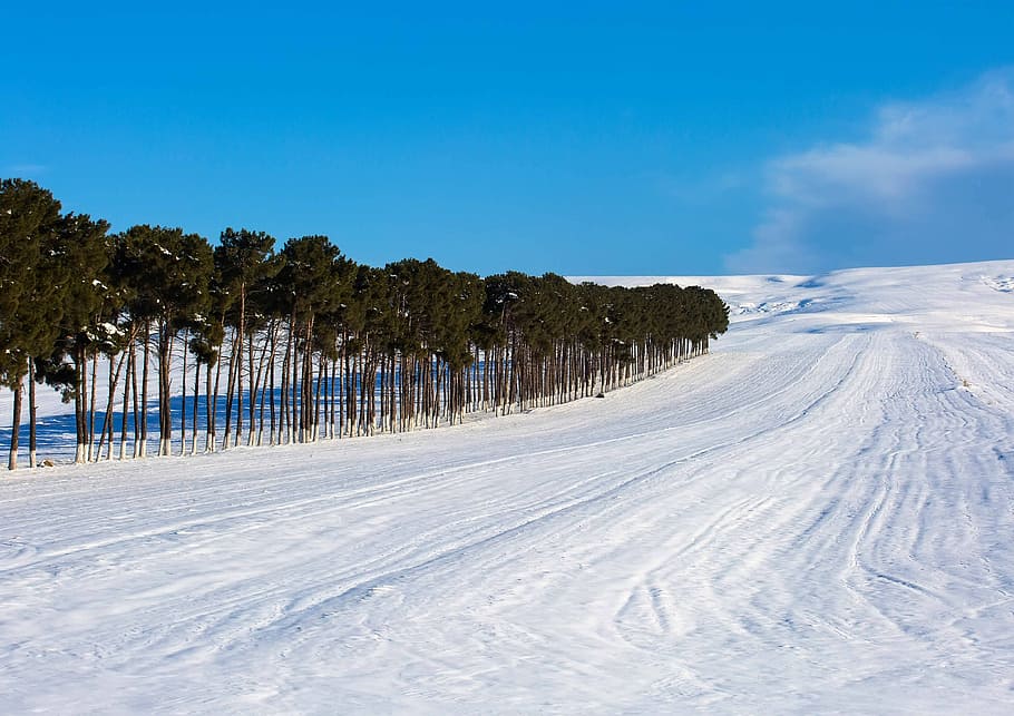 azerbaijan, snow, winter, road, countryside, forest, hill, nature, beauty, cold temperature