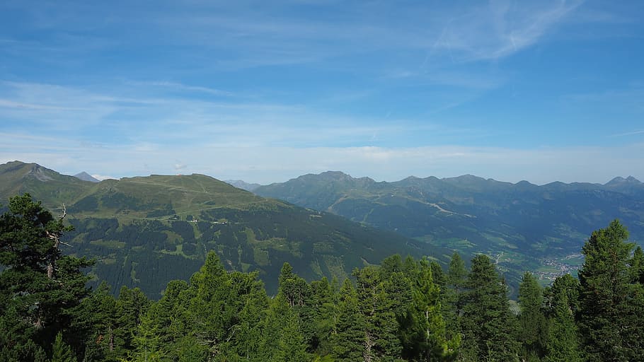 badgastein, zirbenweg, hiking, nature, gastein, austria, scenics - nature, tree, mountain, beauty in nature