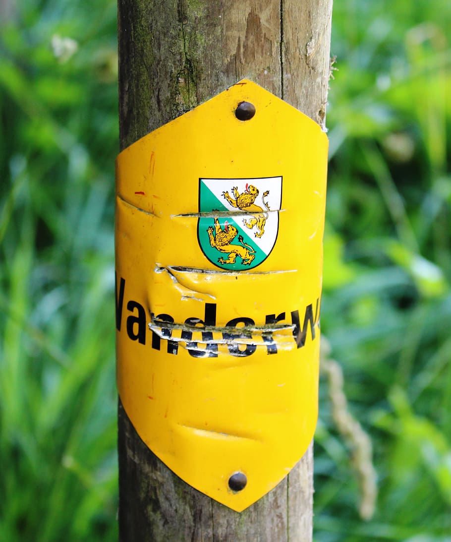 trail, signpost, official, dents, scratches, yellow, focus on foreground, plant, day, tree trunk