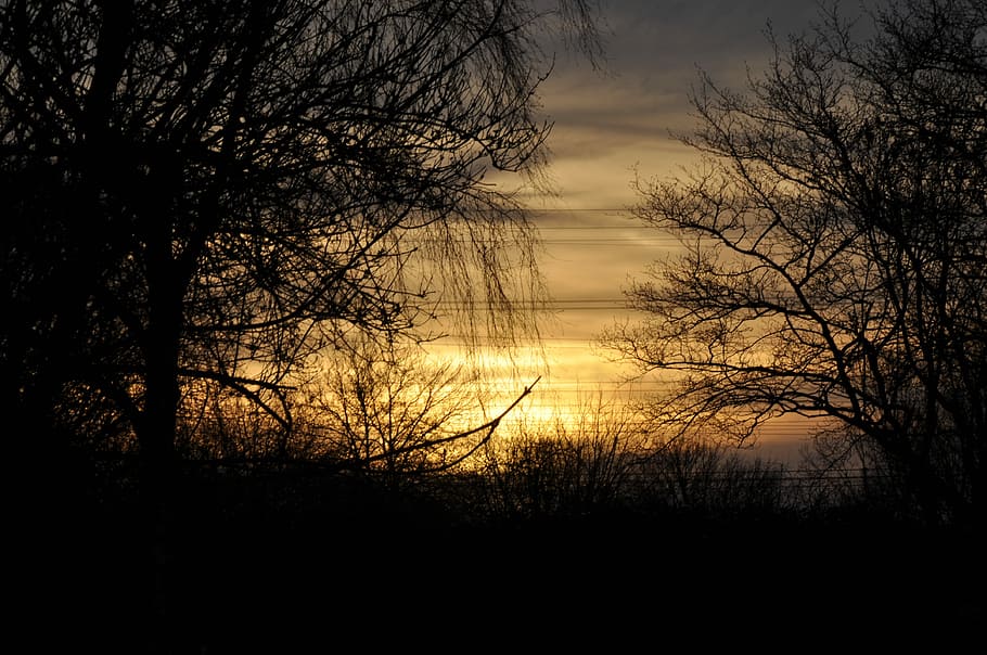 Природа вечером описание. Небо закат дерево. Ветки на земле. Nice Freedom at Evening.