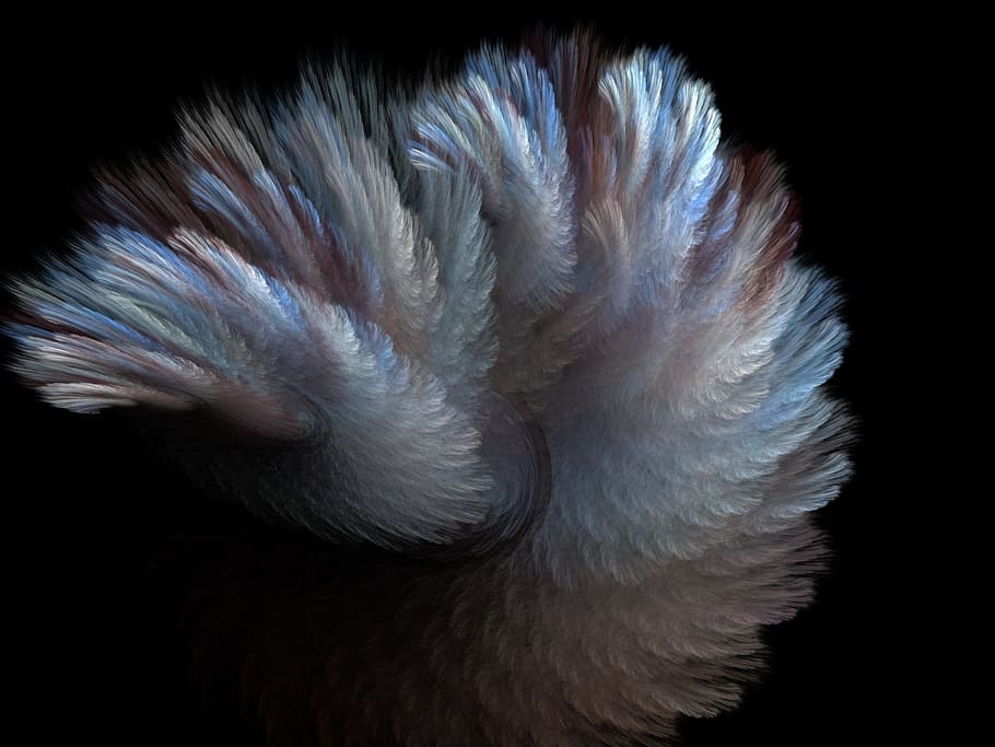multicolored feather wallpaper, fur, fractal, grey, blue, curve, style, effect, feather, illusion