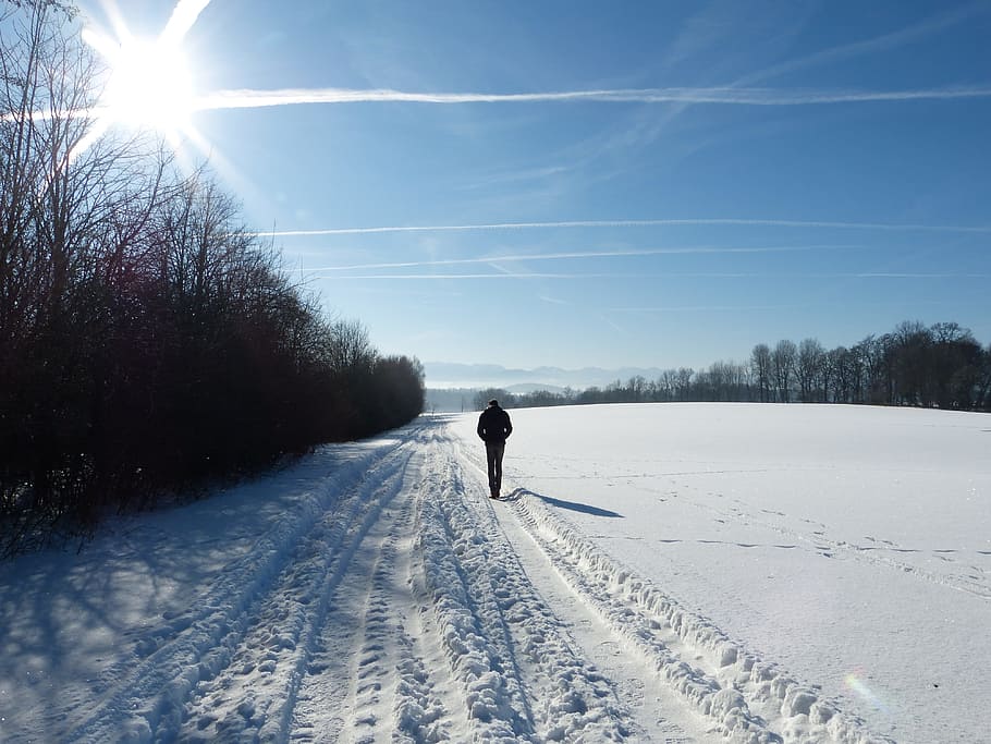 person, walking, snow, daytime, landscape, winter, cold, nature, traces, away