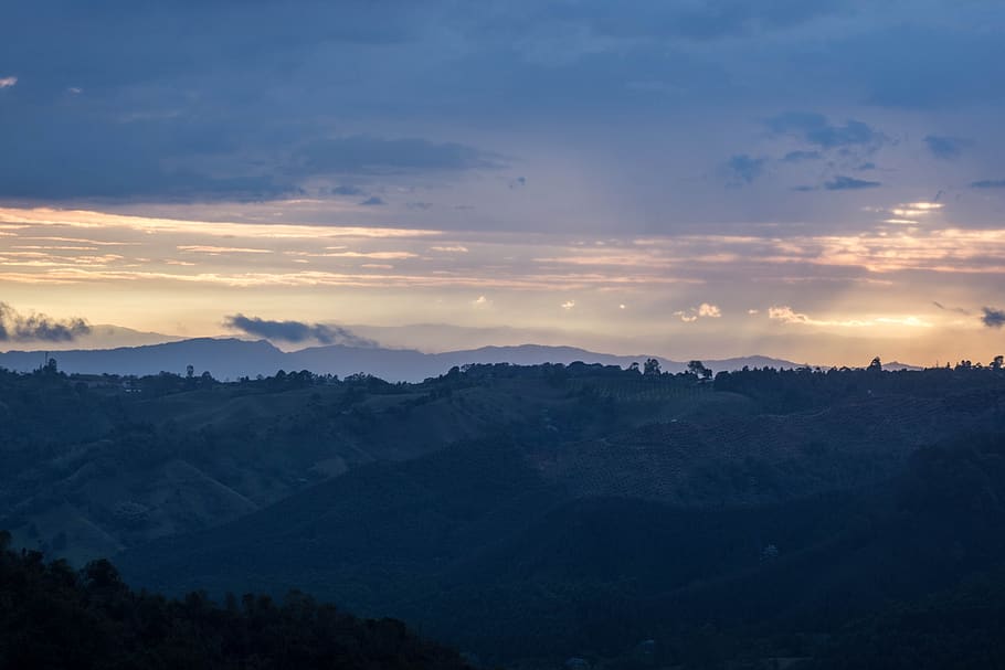 colombia, coffee, salento, fields, evening, sunset, plantation, sky, scenics - nature, beauty in nature