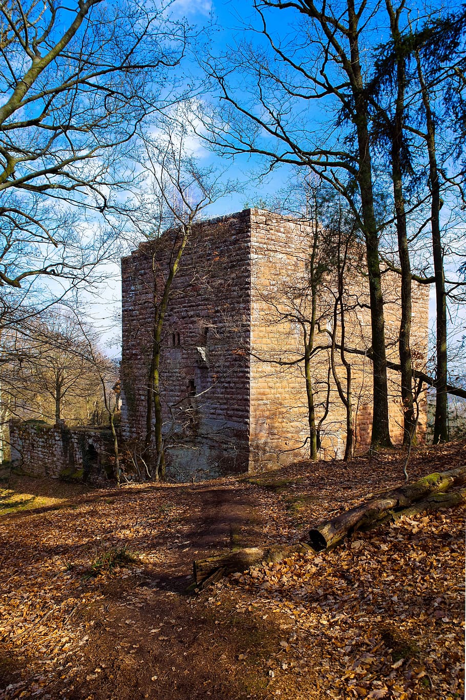 Ruin, Castle, Architecture, History, castle, architecture, alsace, wasenbourg, niederbornn, forest, vosges