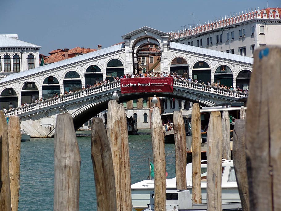 venice, bridge, canale grande, channel, italy, building, gondola, canal grande, boat, rialto bridge