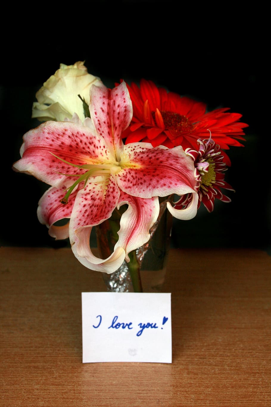 Flowers, Message, I Love You, Love, i love you, love, flower, celebration, close-up, indoors, flowering plant