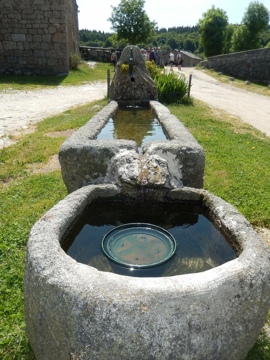 basin, water, fountain, cemetery, stone Material, history, tombstone, old, ancient, day