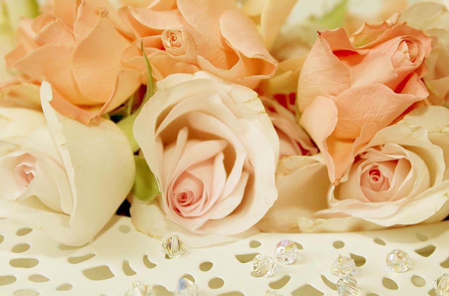 white, pink, rose, flowers bouquet, roses, plate, romantic, blossom, bloom, valentine's day
