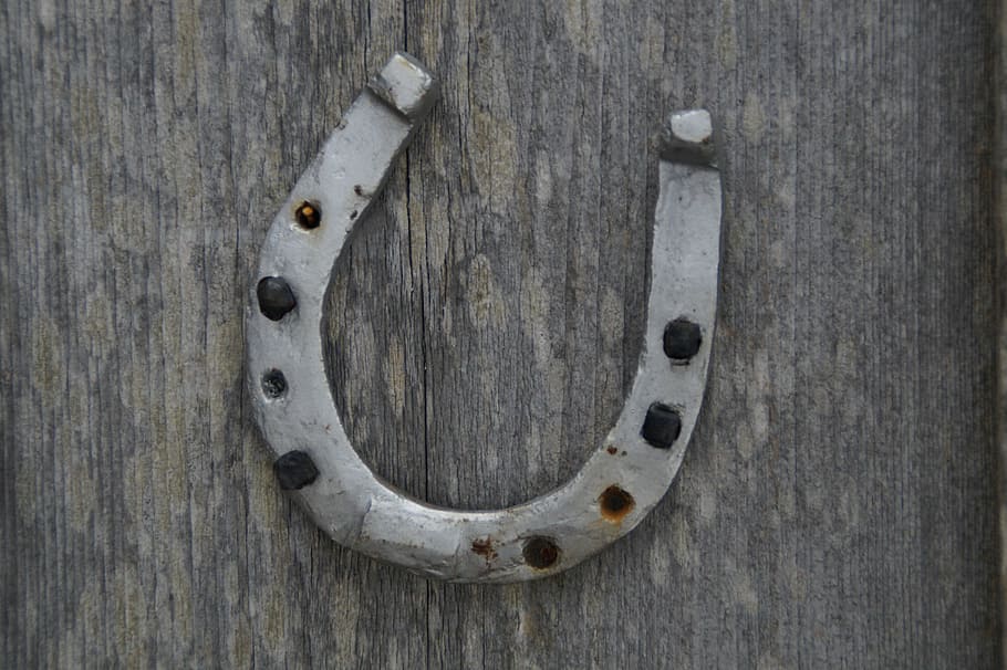 flay, lay, photography, gray, horseshoe, luck, lucky charm, suspended, decoration, horse