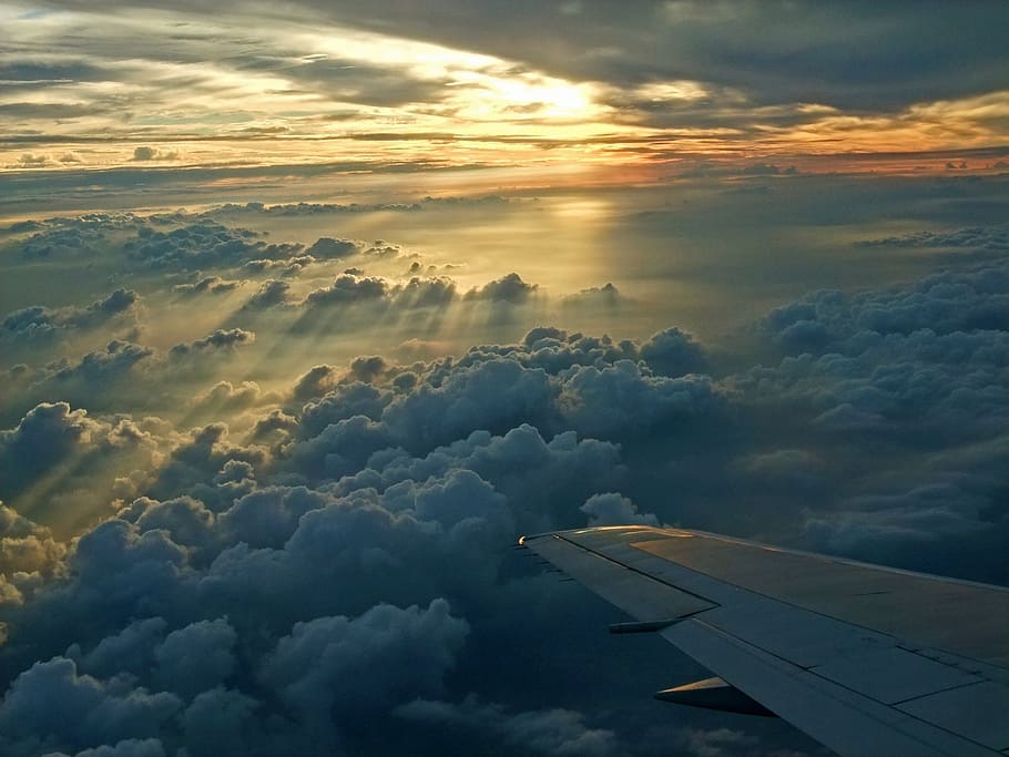 white, plane, flying, daytime, flight, sunset, above the clouds, sky, selva marine, detached