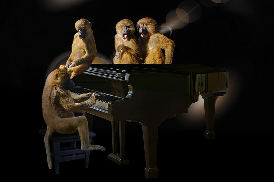 бабуины на пианино, животные, обезьяна, бабуины, арт, музыка, фортепиано, петь, концерт, певец