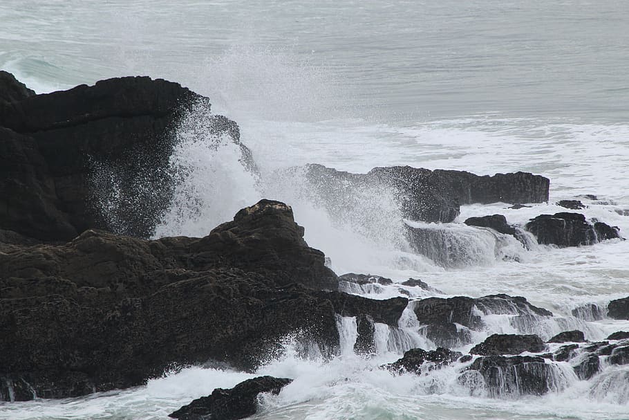 rocks, waves, coast, cornwall, crashing, water, sea, motion, rock, beauty in nature