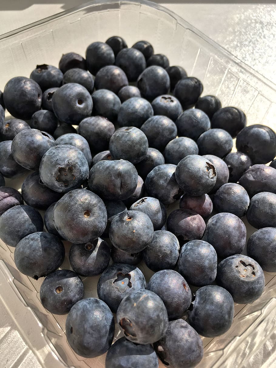 blueberry, rasa, beri, closeup, beri hutan, makanan, makanan dan minuman, makan sehat, kelompok besar objek, kesejahteraan