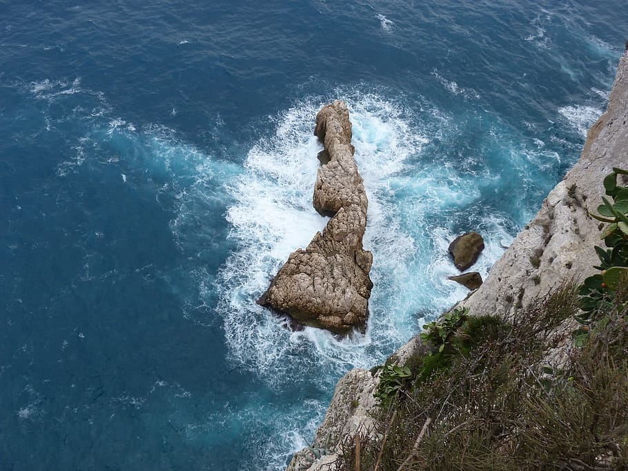 Mar, rocas, paisaje, acantilado, roca - objeto, agua, día, movimiento, un animal, roca