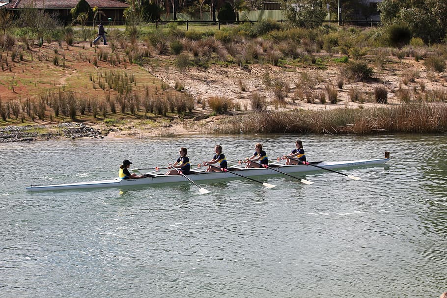 Sport, Rowing, Rowing, Australia, sport, rowing, australia, sport rowing, competition, nautical vessel, oar, water
