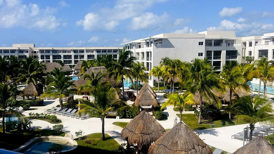 árvores, cancun, Resort, Quintana Roo, México, fotos, hotel, domínio público, palmeira, casa