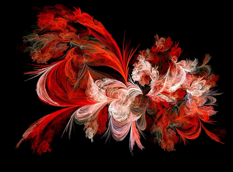 vermelho, branco, preto, abstrato, digital, papel de parede, floral, ilustração, fractal, desenhar
