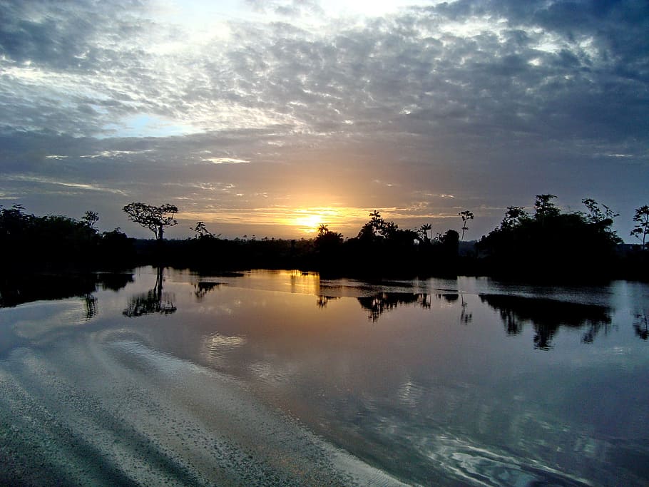gayana, rio demerara, rio, Demerara, o rio demerara, selva, amanhecer, paisagem, manhã, água