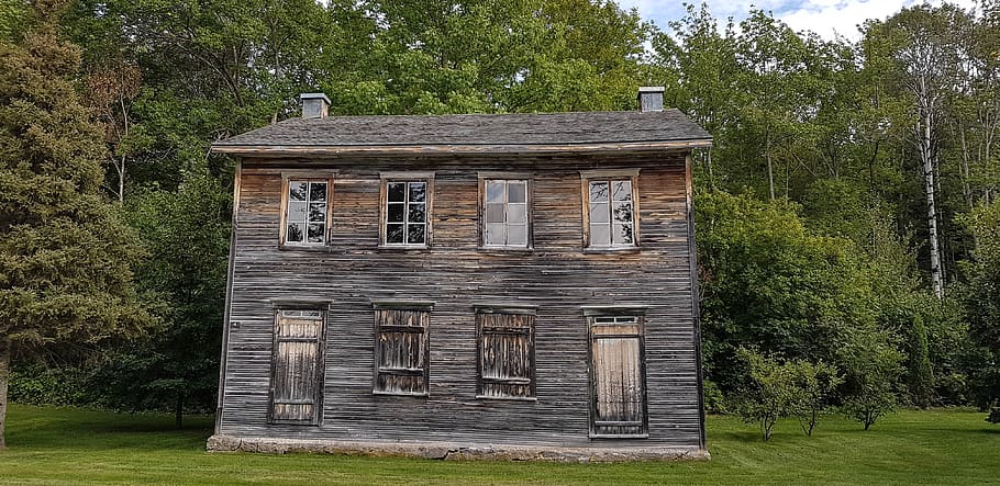 old house, windows, old, facade, wood, abandoned, dilapidated, tree, plant, architecture