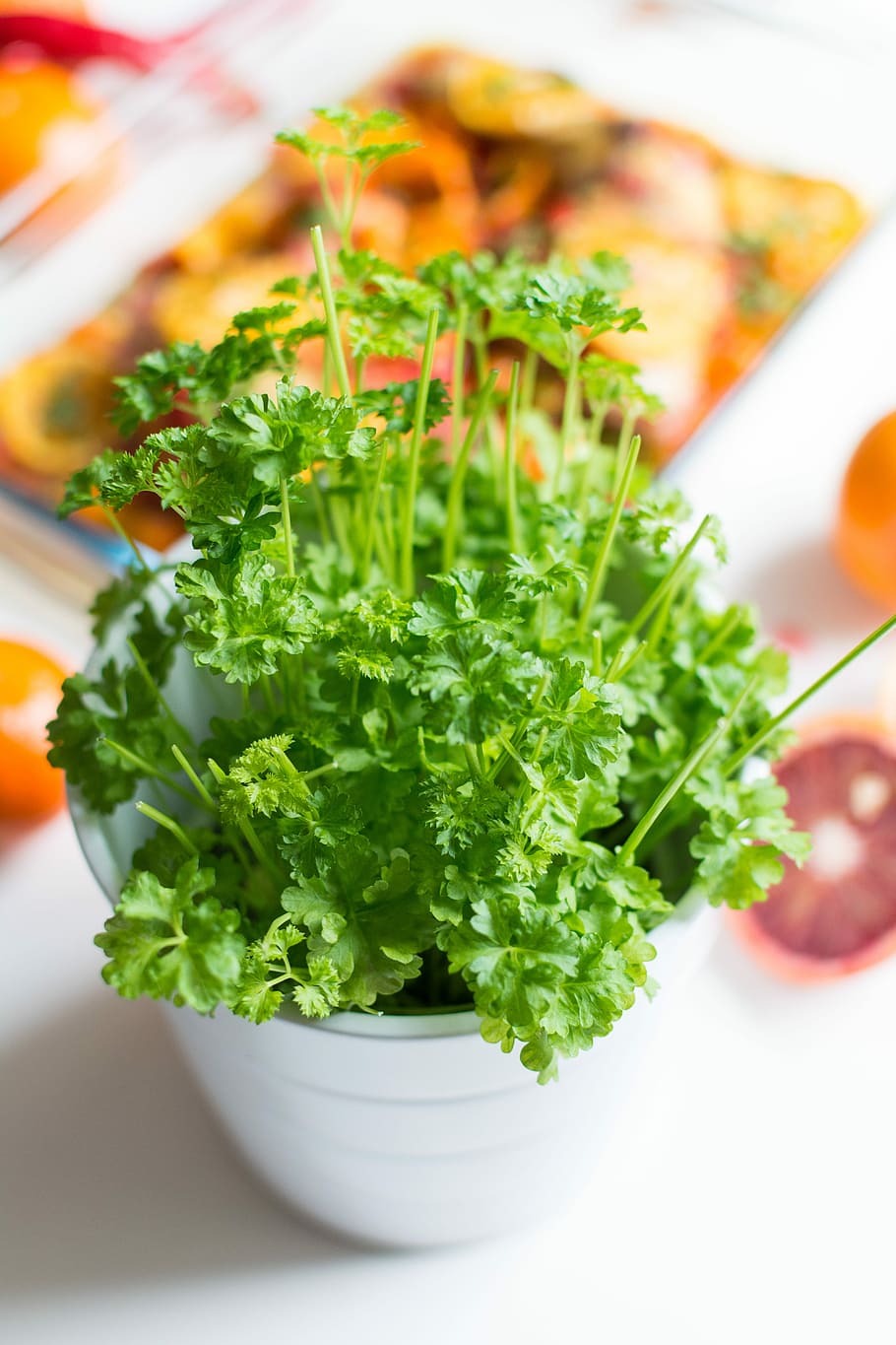 parsley, oranges, Fresh, close up, green, healthy, herbs, orange, food, vegetable