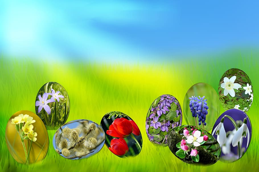 Páscoa, Ovos, Primavera, Sol, Grama, Verde, céu, azul, luz, prímula