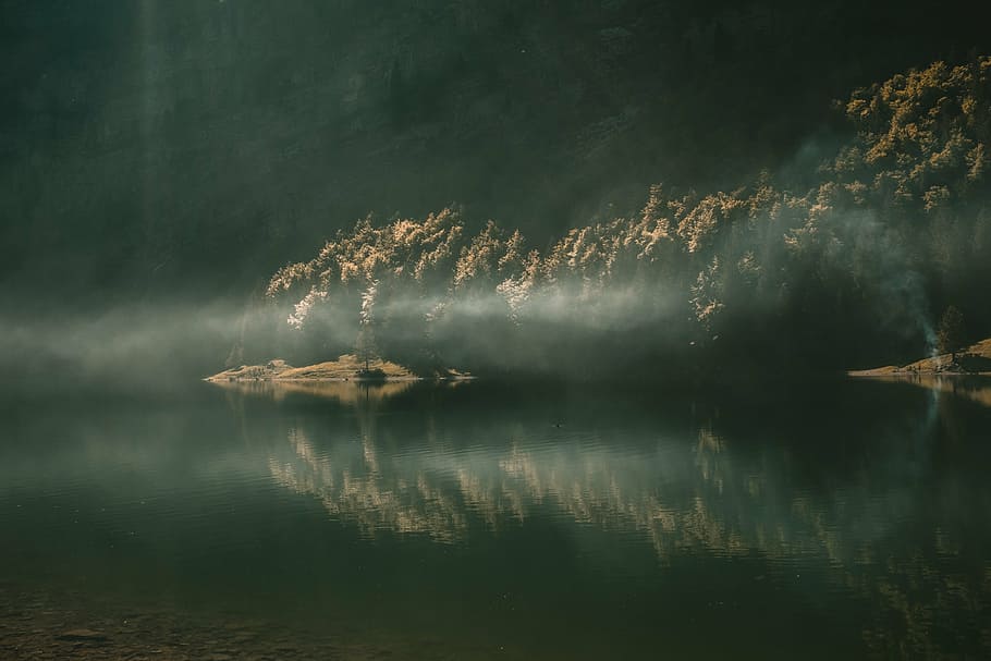 fotografi refleksi, pohon, tubuh, air, tanaman, alam, danau, refleksi, kabut, cahaya