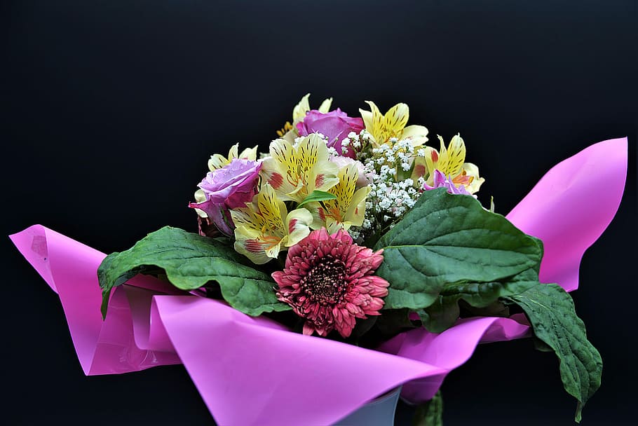 buket bunga, seikat bunga, dekat, berwarna-warni, bunga, hadiah, tanaman berbunga, tanaman, latar belakang hitam, foto studio