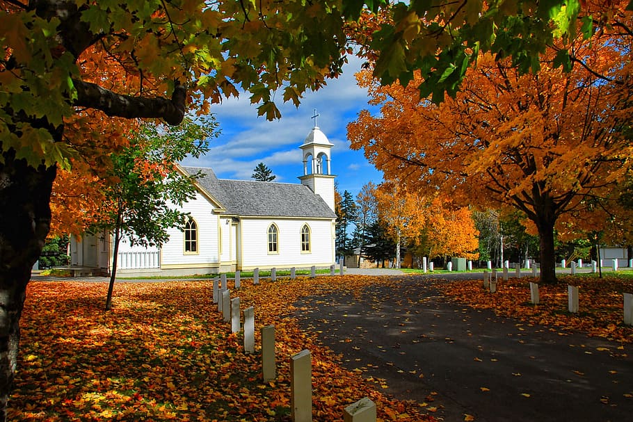 white, surrounded, maple trees, Canada, Church, Season, Scenic, autumn, color, foliage
