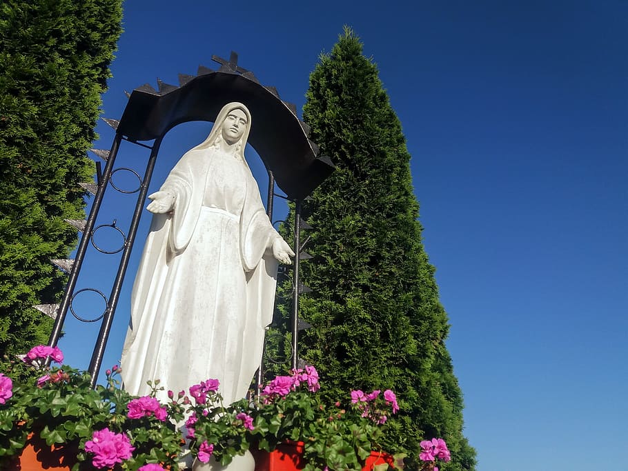 mary, mother, holidays, mother of god, figure, madonna, sculpture, the statue, plant, tree