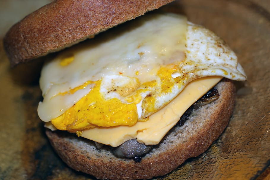 egg, sandwich, spelt, bread, homemade, cheese, swiss, american, granite, plate