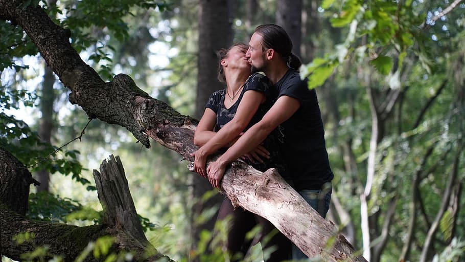 cinta, sepasang, alam, kayu, hutan, romantis, ciuman, hubungan, pecinta, bersama