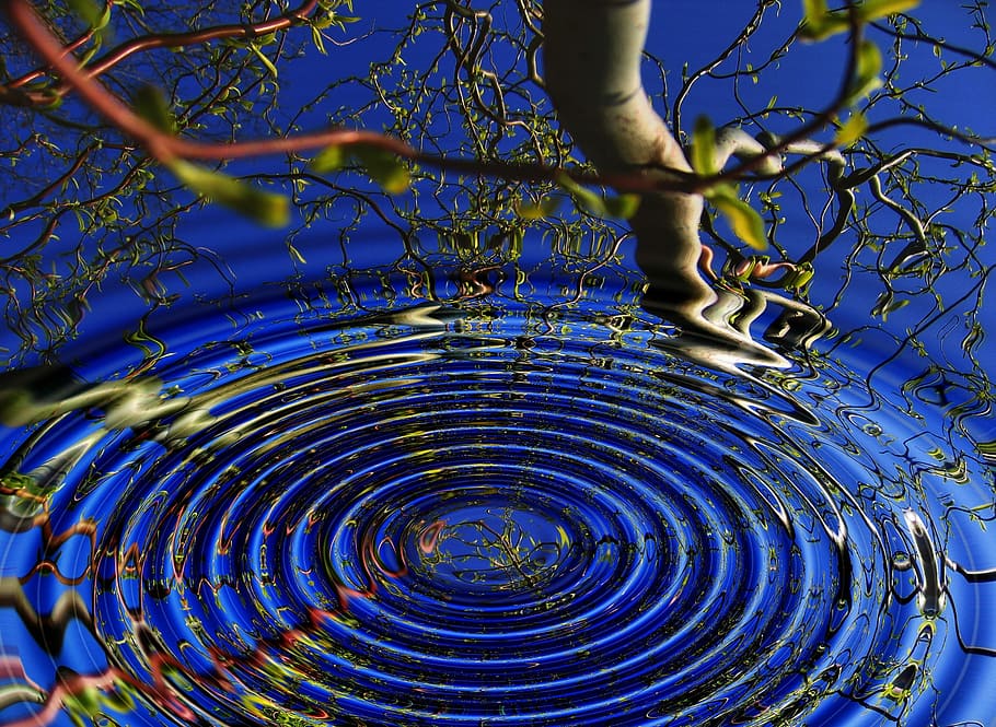 water ripple, reflection, tree branch, wave, tree, mirroring, water, aesthetic, branches, origin