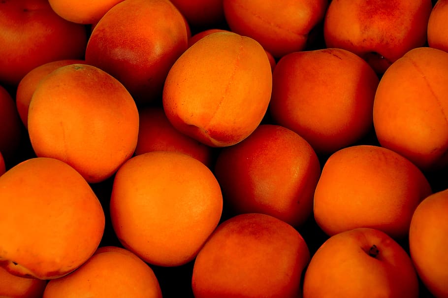 buah bulat merah, aprikot, buah tropis, buah, buah-buahan, lezat, buah pome, sehat, manis, apel