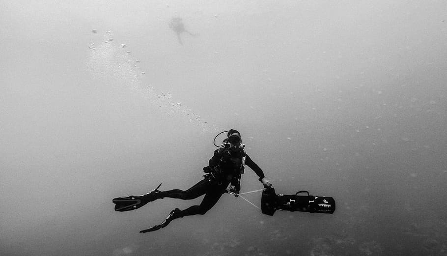 scuba diver, sea, ocean, water, nature, people, man, swimming, scuba, diving