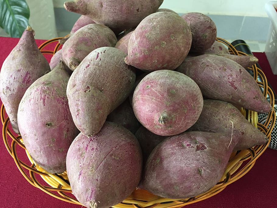 Potato, Lang, Binh Tan, purple sweet potato japanese, sweet potatoes, food and drink, food, basket, freshness, healthy eating