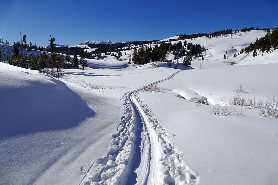 snow, winter, cross country skier tracks, landscape, cold, outdoors, white, park, scenic, cold temperature