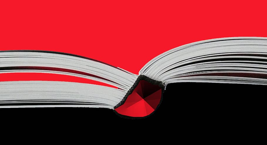 blanco, libro ilustrado, libro rojo, libro, leer libro, leer, informar, información, estudiar, leer ansioso