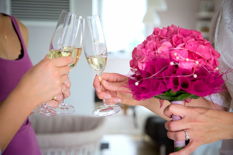 women, holding, champagne glass, cheers, champagne, abut, celebrate, glasses, champagne glasses, together